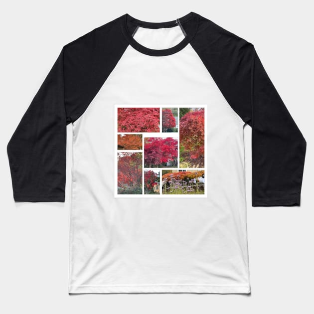 Foliage Collage Baseball T-Shirt by Barschall